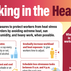 Working in the Heat - Safety Board Poster